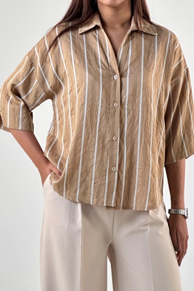 شومیز دیپلمات (8017)